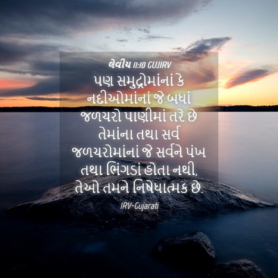Picture 04 - લેવીય 11:10 GUJIRV - પણ સમુદ્રોમાંનાં - Bible Verse Picture