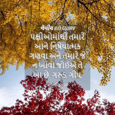 Picture 04 - લેવીય 11:13 GUJIRV - પક્ષીઓમાંથી તમારે - Bible Verse Picture