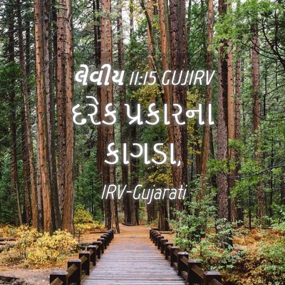 Picture 04 - લેવીય 11:15 GUJIRV - દરેક પ્રકારના - Bible Verse Picture
