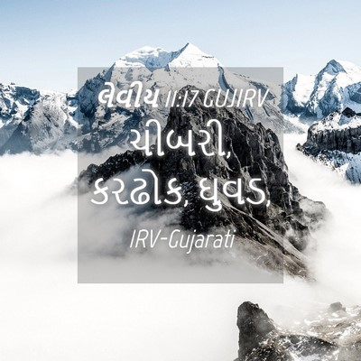 Picture 04 - લેવીય 11:17 GUJIRV - ચીબરી, કરઢોક, - Bible Verse Picture