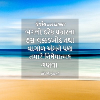 Picture 04 - લેવીય 11:19 GUJIRV - બગલો, દરેક - Bible Verse Picture