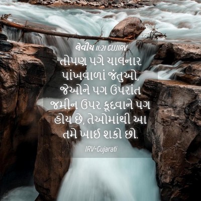 Picture 04 - લેવીય 11:21 GUJIRV - તોપણ પગે ચાલનાર - Bible Verse Picture