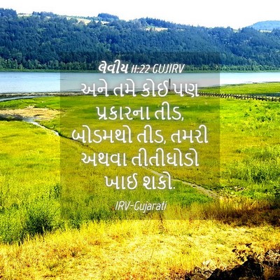 Picture 04 - લેવીય 11:22 GUJIRV - અને તમે કોઈ પણ - Bible Verse Picture