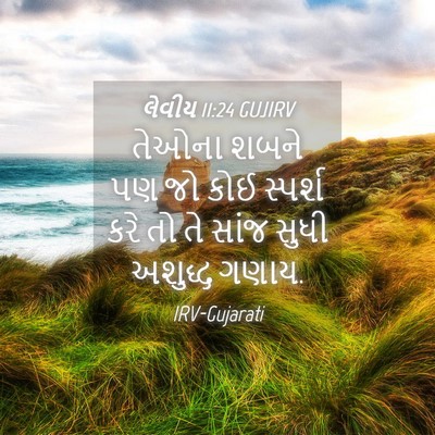Picture 04 - લેવીય 11:24 GUJIRV - તેઓના શબને પણ જો - Bible Verse Picture