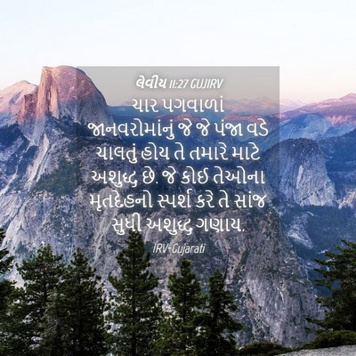Picture 04 - લેવીય 11:27 GUJIRV - ચાર પગવાળાં - Bible Verse Picture