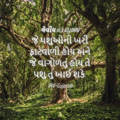 Picture 04 - લેવીય 11:3 GUJIRV - જે પશુઓની ખરી - Bible Verse Picture