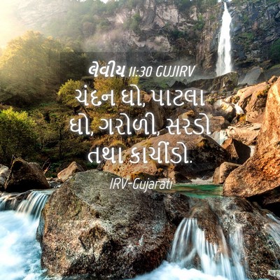 Picture 04 - લેવીય 11:30 GUJIRV - ચંદન ઘો, પાટલા ઘો, - Bible Verse Picture
