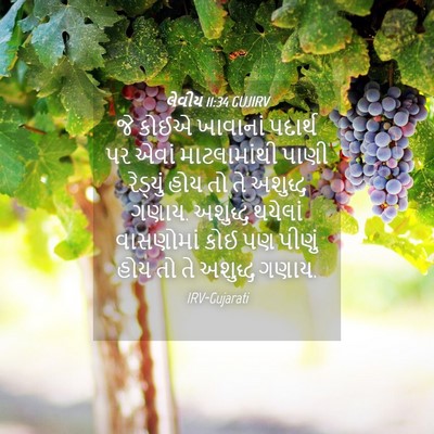 Picture 04 - લેવીય 11:34 GUJIRV - જે કોઈએ ખાવાનાં - Bible Verse Picture
