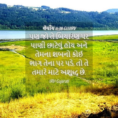 Picture 04 - લેવીય 11:38 GUJIRV - પણ જો તે બિયારણ પર - Bible Verse Picture