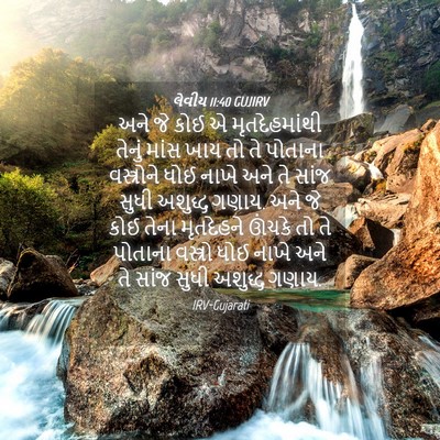 Picture 04 - લેવીય 11:40 GUJIRV - અને જે કોઈ એ - Bible Verse Picture