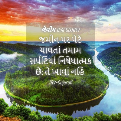 Picture 04 - લેવીય 11:41 GUJIRV - જમીન પર પેટે - Bible Verse Picture