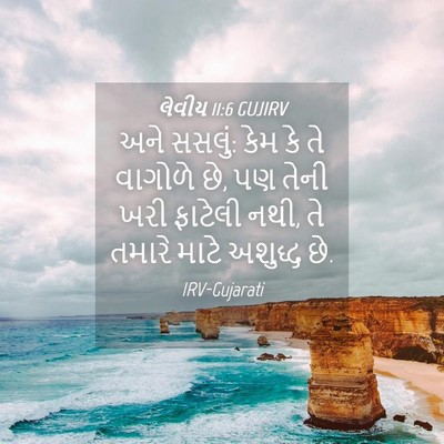 Picture 04 - લેવીય 11:6 GUJIRV - અને સસલું: કેમ કે - Bible Verse Picture