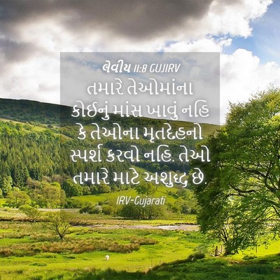 Picture 04 - લેવીય 11:8 GUJIRV - તમારે તેઓમાંના - Bible Verse Picture