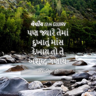 Picture 04 - લેવીય 13:14 GUJIRV - પણ જ્યારે તેમાં - Bible Verse Picture