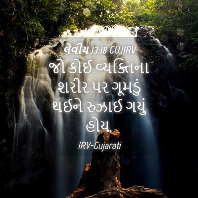 Picture 04 - લેવીય 13:18 GUJIRV - જો કોઈ વ્યક્તિના - Bible Verse Picture