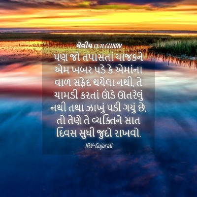 Picture 04 - લેવીય 13:21 GUJIRV - પણ જો તપાસતાં - Bible Verse Picture