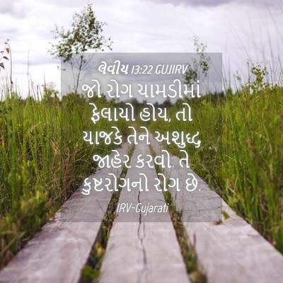 Picture 04 - લેવીય 13:22 GUJIRV - જો રોગ ચામડીમાં - Bible Verse Picture