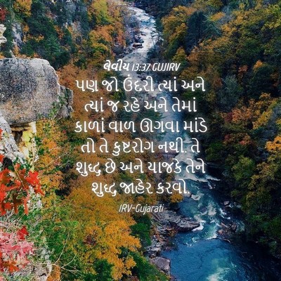 Picture 04 - લેવીય 13:37 GUJIRV - પણ જો ઉંદરી ત્યાં - Bible Verse Picture