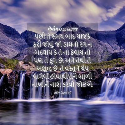 Picture 04 - લેવીય 13:55 GUJIRV - પછી તે સમય બાદ - Bible Verse Picture