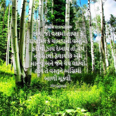 Picture 04 - લેવીય 13:57 GUJIRV - છતાં જો વસ્ત્રમાં - Bible Verse Picture