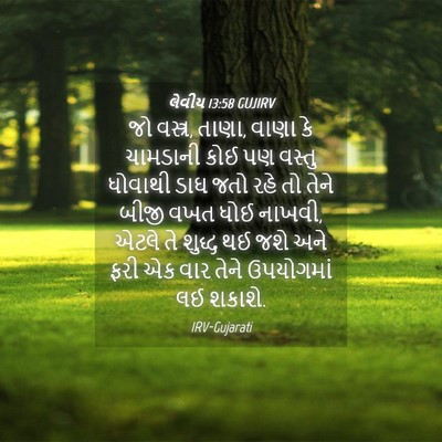 Picture 04 - લેવીય 13:58 GUJIRV - જો વસ્ત્ર, તાણા, - Bible Verse Picture