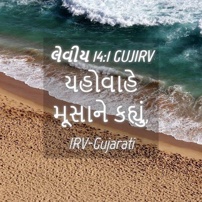 Picture 04 - લેવીય 14:1 GUJIRV - યહોવાહે મૂસાને - Bible Verse Picture