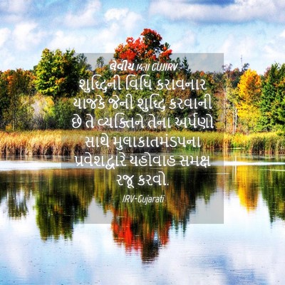 Picture 04 - લેવીય 14:11 GUJIRV - શુદ્ધિની વિધિ - Bible Verse Picture