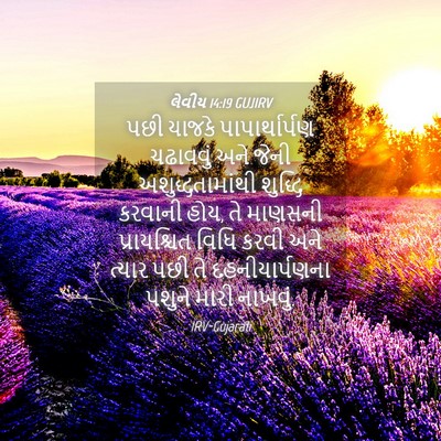 Picture 04 - લેવીય 14:19 GUJIRV - પછી યાજકે - Bible Verse Picture