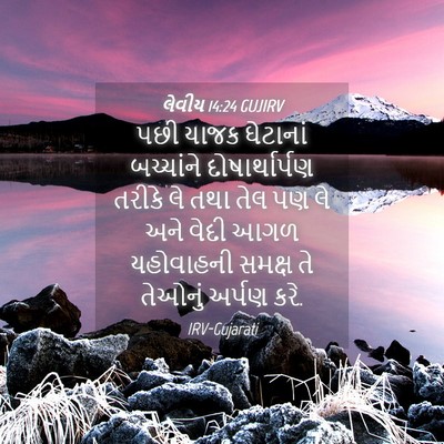 Picture 04 - લેવીય 14:24 GUJIRV - પછી યાજક ઘેટાનાં - Bible Verse Picture