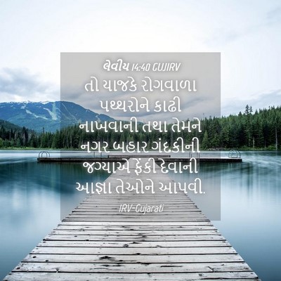 Picture 04 - લેવીય 14:40 GUJIRV - તો યાજકે રોગવાળા - Bible Verse Picture