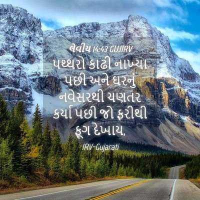 Picture 04 - લેવીય 14:43 GUJIRV - પથ્થરો કાઢી - Bible Verse Picture