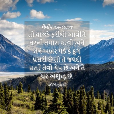 Picture 04 - લેવીય 14:44 GUJIRV - તો યાજકે ફરીથી - Bible Verse Picture