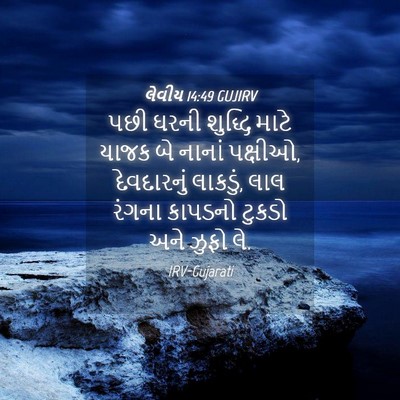 Picture 04 - લેવીય 14:49 GUJIRV - પછી ઘરની શુદ્ધિ - Bible Verse Picture