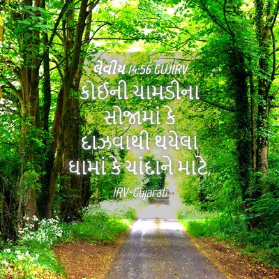 Picture 04 - લેવીય 14:56 GUJIRV - કોઈની ચામડીના - Bible Verse Picture