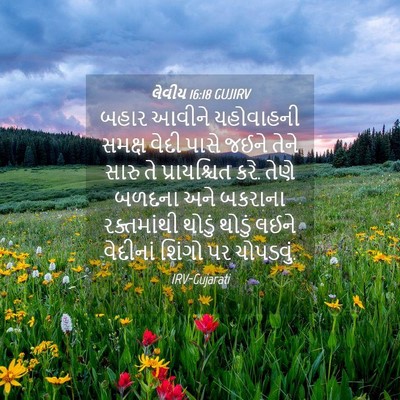 Picture 04 - લેવીય 16:18 GUJIRV - બહાર આવીને - Bible Verse Picture