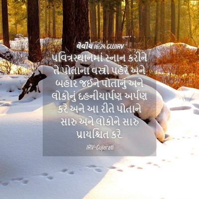 Picture 04 - લેવીય 16:24 GUJIRV - પવિત્રસ્થાનમાં - Bible Verse Picture