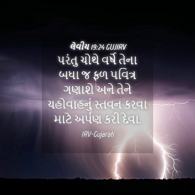 Picture 04 - લેવીય 19:24 GUJIRV - પરંતુ ચોથે વર્ષે - Bible Verse Picture