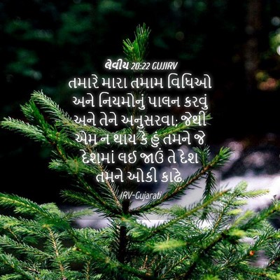 Picture 04 - લેવીય 20:22 GUJIRV - તમારે મારા તમામ - Bible Verse Picture