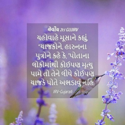 Picture 04 - લેવીય 21:1 GUJIRV - યહોવાહે મૂસાને - Bible Verse Picture