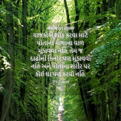 Picture 04 - લેવીય 21:5 GUJIRV - યાજકોએ શોક કરવા - Bible Verse Picture