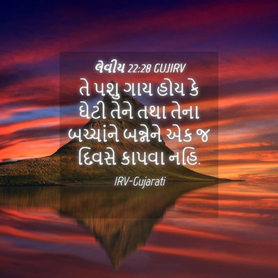 Picture 04 - લેવીય 22:28 GUJIRV - તે પશુ ગાય હોય કે - Bible Verse Picture