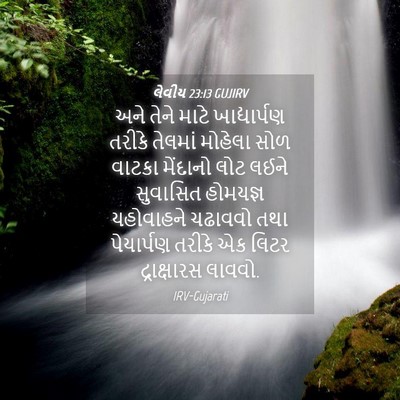 Picture 04 - લેવીય 23:13 GUJIRV - અને તેને માટે - Bible Verse Picture