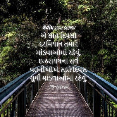 Picture 04 - લેવીય 23:42 GUJIRV - એ સાત દિવસો - Bible Verse Picture