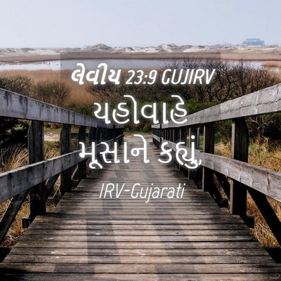 Picture 04 - લેવીય 23:9 GUJIRV - યહોવાહે મૂસાને - Bible Verse Picture