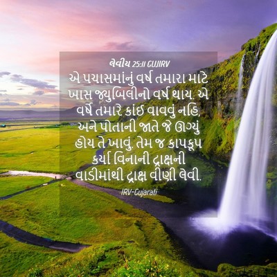 Picture 04 - લેવીય 25:11 GUJIRV - એ પચાસમાંનું વર્ષ - Bible Verse Picture