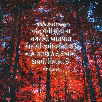 Picture 04 - લેવીય 25:34 GUJIRV - પરંતુ લેવી પોતાના - Bible Verse Picture