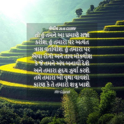 Picture 04 - લેવીય 26:16 GUJIRV - તો હું તમને આ - Bible Verse Picture