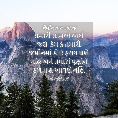 Picture 04 - લેવીય 26:20 GUJIRV - તમારી સામર્થ્ય - Bible Verse Picture