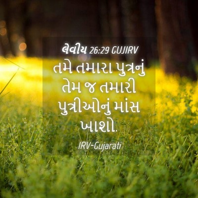 Picture 04 - લેવીય 26:29 GUJIRV - તમે તમારા - Bible Verse Picture
