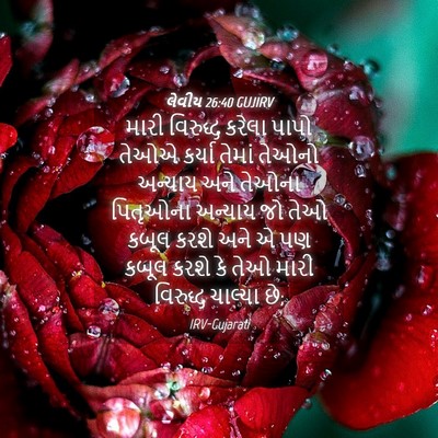 Picture 04 - લેવીય 26:40 GUJIRV - મારી વિરુદ્ધ - Bible Verse Picture